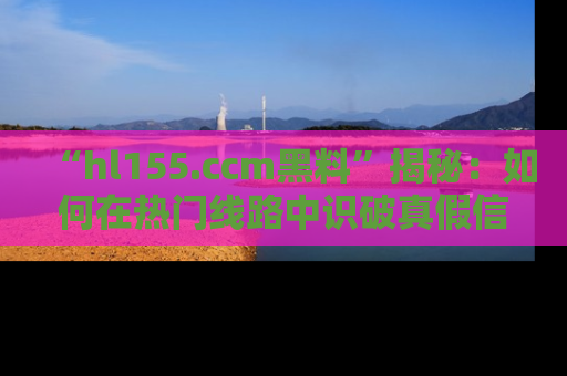 “hl155.ccm黑料”揭秘：如何在热门线路中识破真假信息
