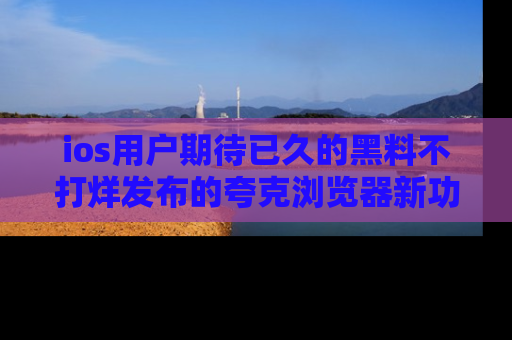 ios用户期待已久的黑料不打烊发布的夸克浏览器新功能上线啦！