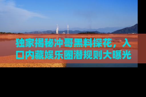 独家揭秘冲哥黑料探花，入口内藏娱乐圈潜规则大曝光