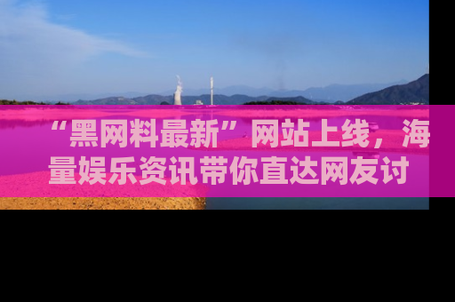 “黑网料最新”网站上线，海量娱乐资讯带你直达网友讨论的中心！
