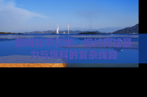 黑料社不打烊，探讨网络暴力与爆料的复杂线路