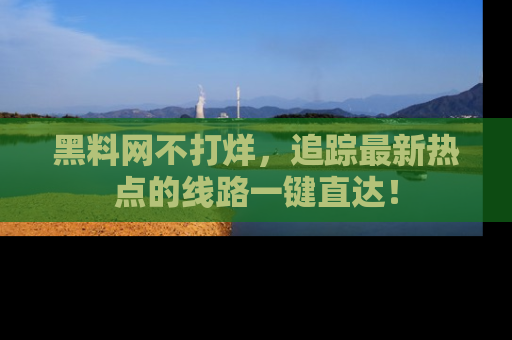 黑料网不打烊，追踪最新热点的线路一键直达！