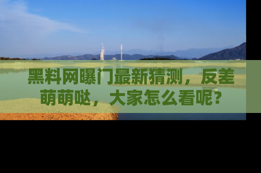 黑料网曝门最新猜测，反差萌萌哒，大家怎么看呢？