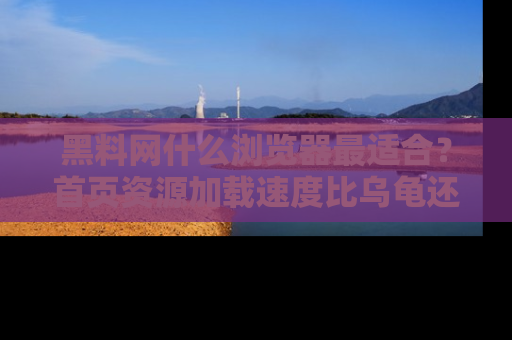 黑料网什么浏览器最适合？首页资源加载速度比乌龟还慢的体验真心吐槽！