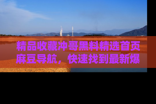 精品收藏冲哥黑料精选首页麻豆导航,快速找到最新爆料