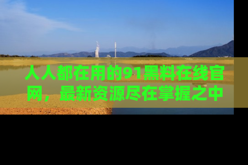 人人都在用的91黑料在线官网，最新资源尽在掌握之中