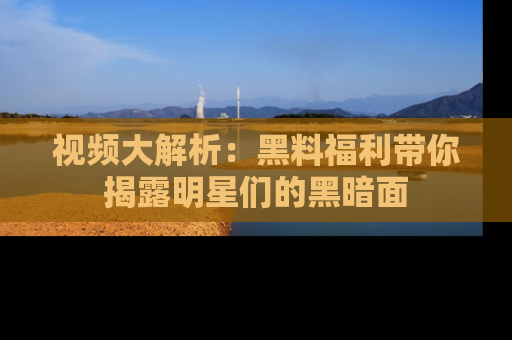 视频大解析:黑料福利带你揭露明星们的黑暗面