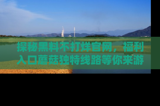 探秘黑料不打烊官网,福利入口蘑菇独特线路等你来游玩!