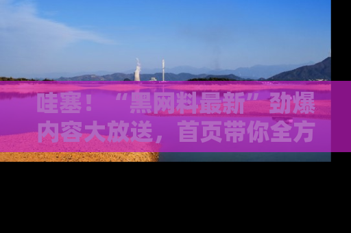 哇塞！“黑网料最新”劲爆内容大放送，首页带你全方位了解哦，小可爱们