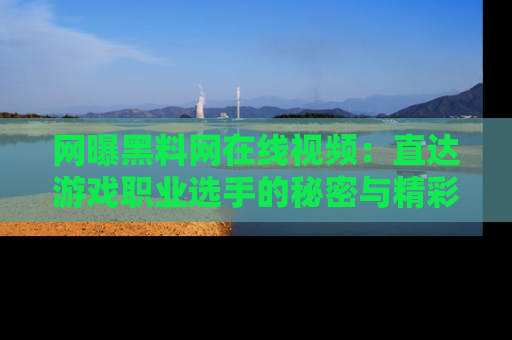 网曝黑料网在线视频：直达游戏职业选手的秘密与精彩动漫片段！