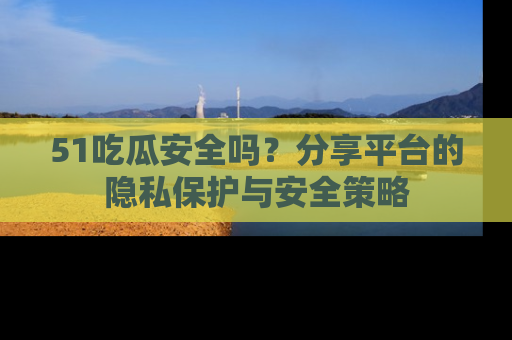 51吃瓜安全吗？分享平台的隐私保护与安全策略
