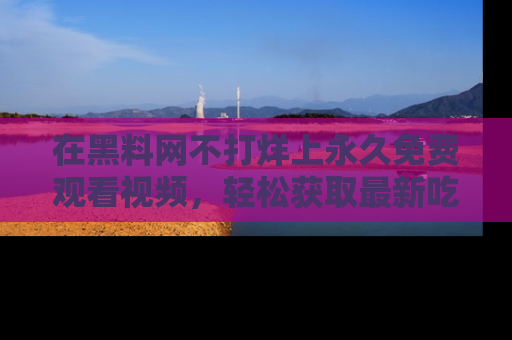 在黑料网不打烊上永久免费观看视频，轻松获取最新吃瓜资讯！