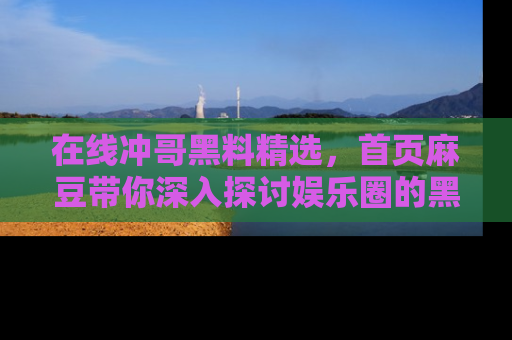 在线冲哥黑料精选,首页麻豆带你深入探讨娱乐圈的黑暗面