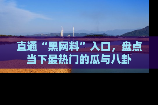 直通“黑网料”入口,盘点当下最热门的瓜与八卦
